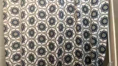 ConCon online show from February 26, 1:45 pm