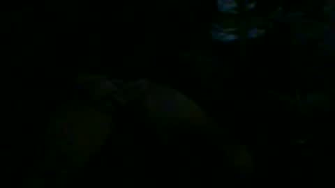 cunnibob online show from January 20, 9:46 am