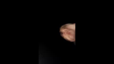 cvnninglinguist online show from April 12, 9:33 am