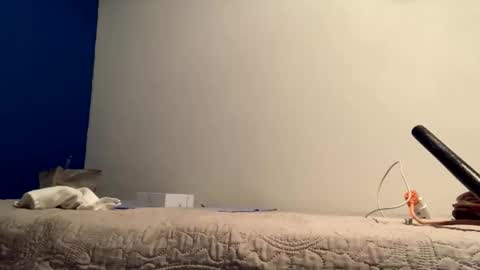 Jewbb online show from March 11, 6:31 am