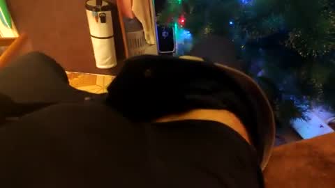 dag1983 online show from September 9, 8:08 pm