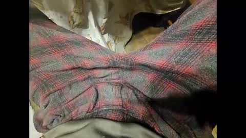 DailyJerker84 online show from November 21, 11:20 am