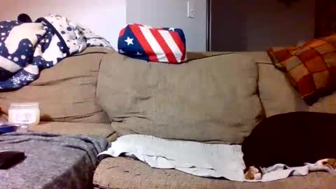 Dameatis Brown online show from March 20, 5:55 am