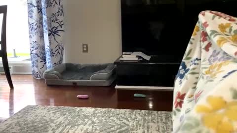 dannyboy621 online show from October 25, 1:24 pm