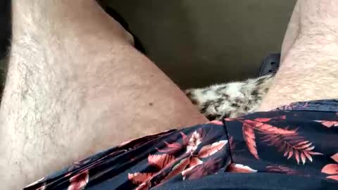 Dano B online show from March 28, 10:15 am