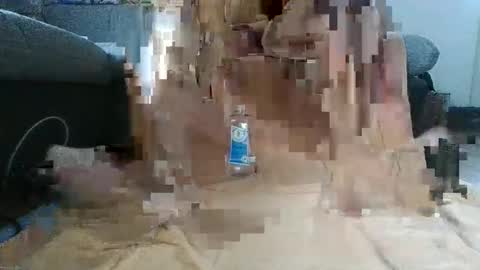 Daniel online show from December 4, 9:49 am