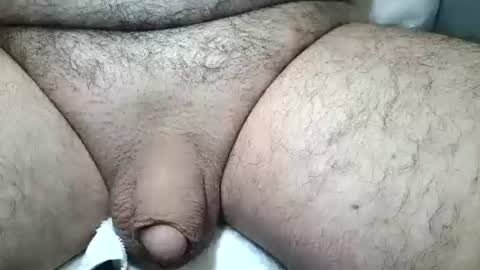 dapppper online show from March 16, 10:19 am