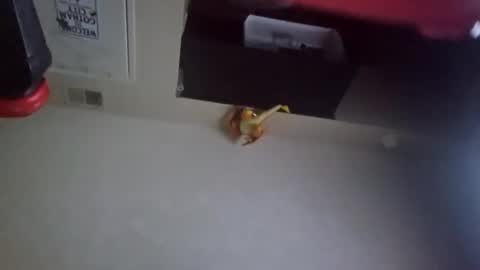 darkestsins666 online show from March 5, 9:16 am