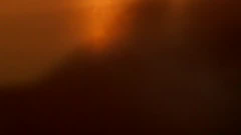 davdao3 online show from December 22, 7:16 am