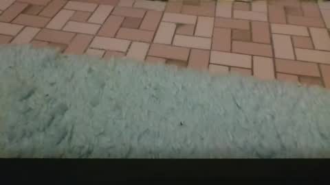 David online show from April 3, 4:04 pm