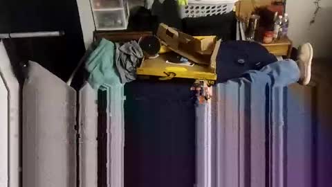 decoyx5o5 online show from January 20, 2:36 pm