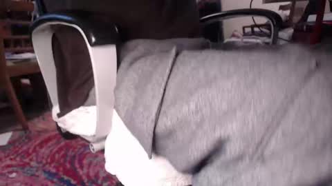 deeepocean online show from October 17, 1:59 pm