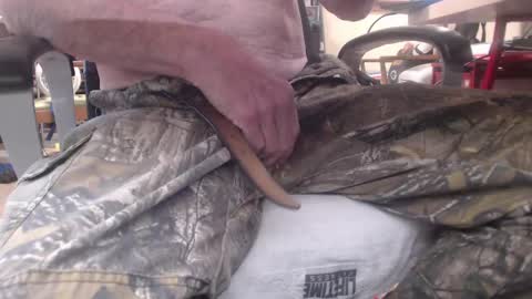 deeepocean online show from March 7, 2:45 pm