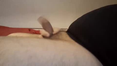 den2807 online show from March 4, 9:18 am