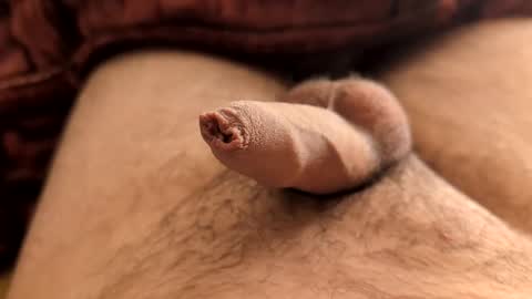 LilRoach online show from March 8, 1:55 pm