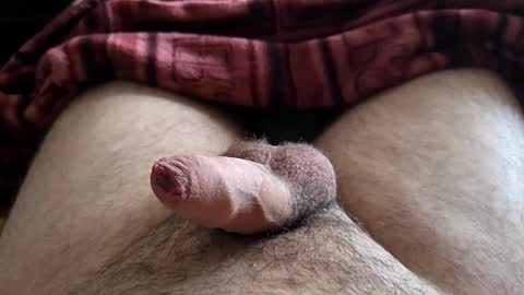 LilRoach online show from November 8, 2:09 pm