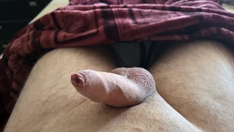 LilRoach online show from October 9, 1:27 pm