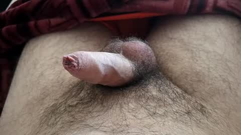 LilRoach online show from September 16, 1:01 pm