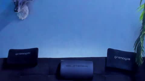 dennis_cox_ online show from May 27, 8:33 am