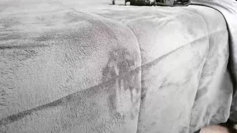 DenverCumKing online show from February 6, 7:44 pm