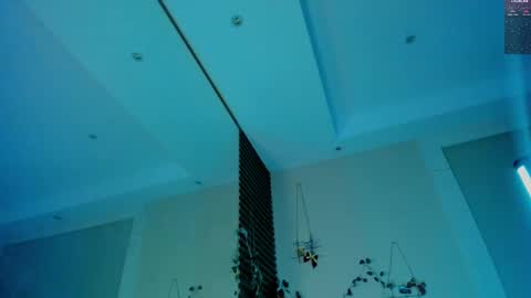 Devil online show from February 19, 3:39 am