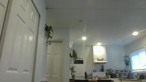 dex12112111 online show from February 14, 7:53 pm