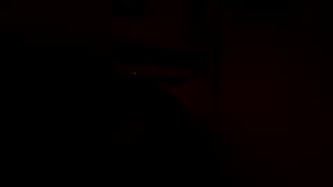 dherr568 online show from February 16, 9:40 am