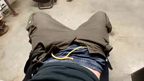 dickdragon2409 online show from January 14, 7:46 am