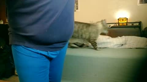 Steve online show from February 23, 9:38 pm