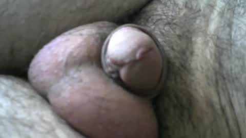 Bob online show from January 11, 8:33 am