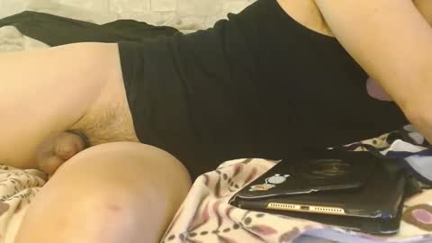 dildobandit online show from November 17, 7:50 pm