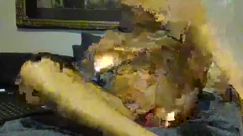 Hot Penis online show from February 4, 7:29 am