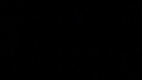 dip_set online show from February 19, 8:22 am