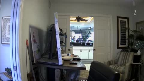 Snapshot of dirkpitt223 chatting on January 3, 4:37 pm DirtkPitt Fun guy working online show from January 3, 4:37 pm