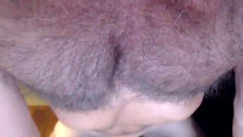 otterbator online show from July 31, 3:11 pm