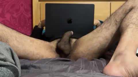 Doggy kutta online show from November 15, 5:48 pm