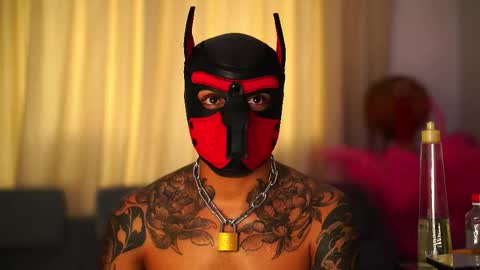 jjhoy online show from November 9, 8:46 pm