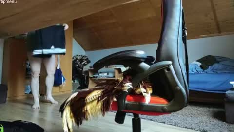 TheCleaner online show from December 6, 7:54 am