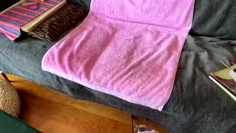 Alfredo online show from March 26, 10:08 am