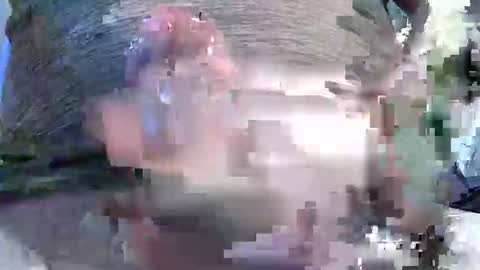 dosser8 online show from March 5, 4:25 pm