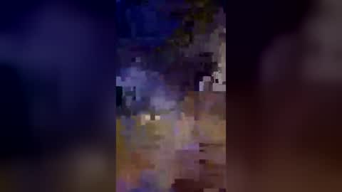 dtm655504 online show from August 5, 12:43 pm