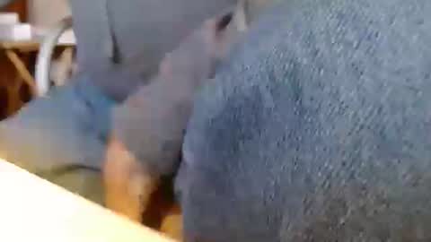 dunany101 online show from December 15, 2:48 pm