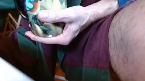 dunany101 online show from March 10, 1:43 pm