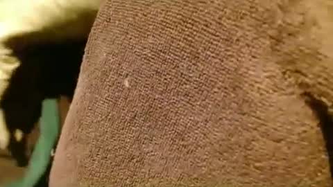 dunany101 online show from March 5, 12:49 am