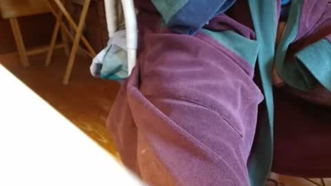 dunany101 online show from March 6, 2:40 pm