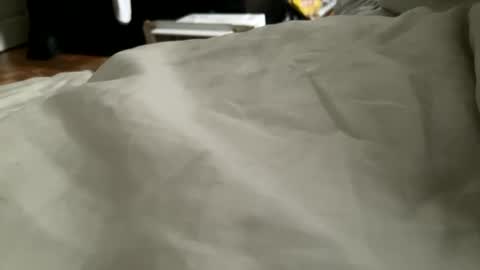 DundiesAwards online show from November 1, 7:18 pm