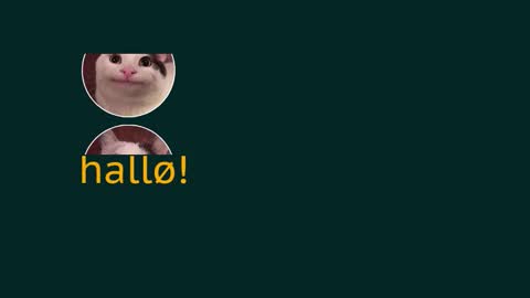 Vaco Eblidator online show from October 12, 11:37 am