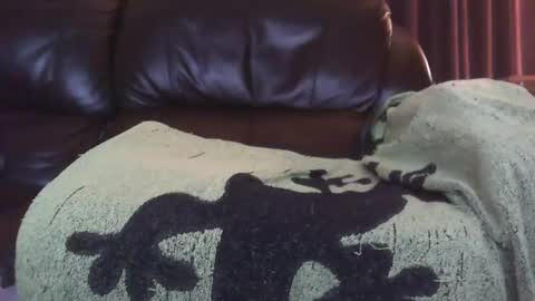 Ectopicstarfish online show from December 13, 8:43 am