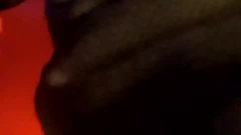 edmore1215 online show from December 7, 1:58 am