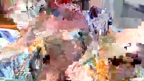 elbasca online show from February 18, 12:14 pm